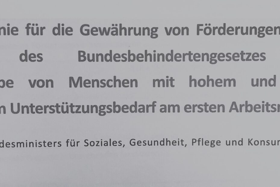 Richtlinie für die Gewährung von Förderungen nach §33 des Bundesbehindertengesetzes zur Teilhabe von Menschen mit hohem und sehr hohem Unterstützungsbedarf am ersten Arbeitsmarkt